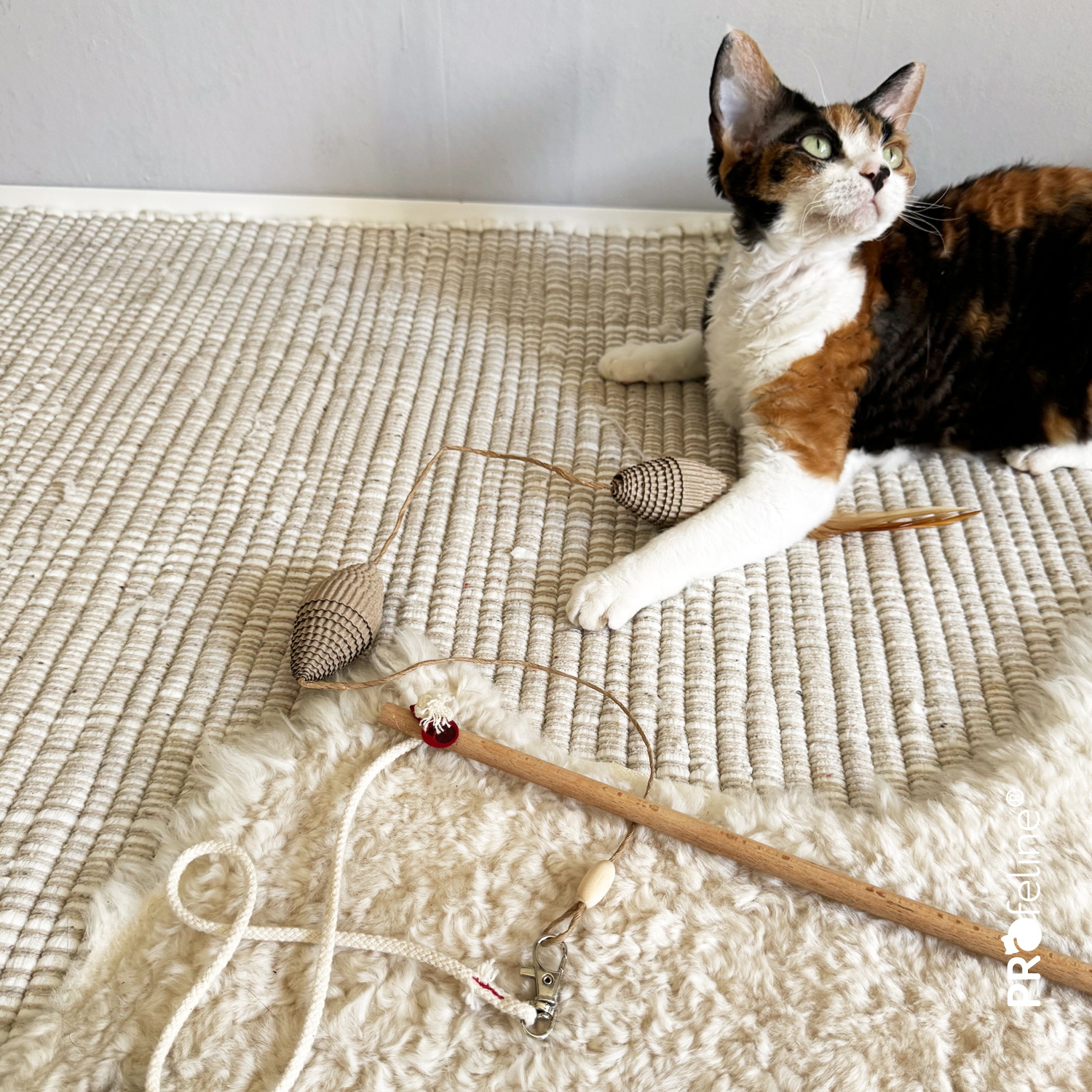 Karton Ball an Katzenangel aus Holz Nachhaltiges Katzenspielzeug