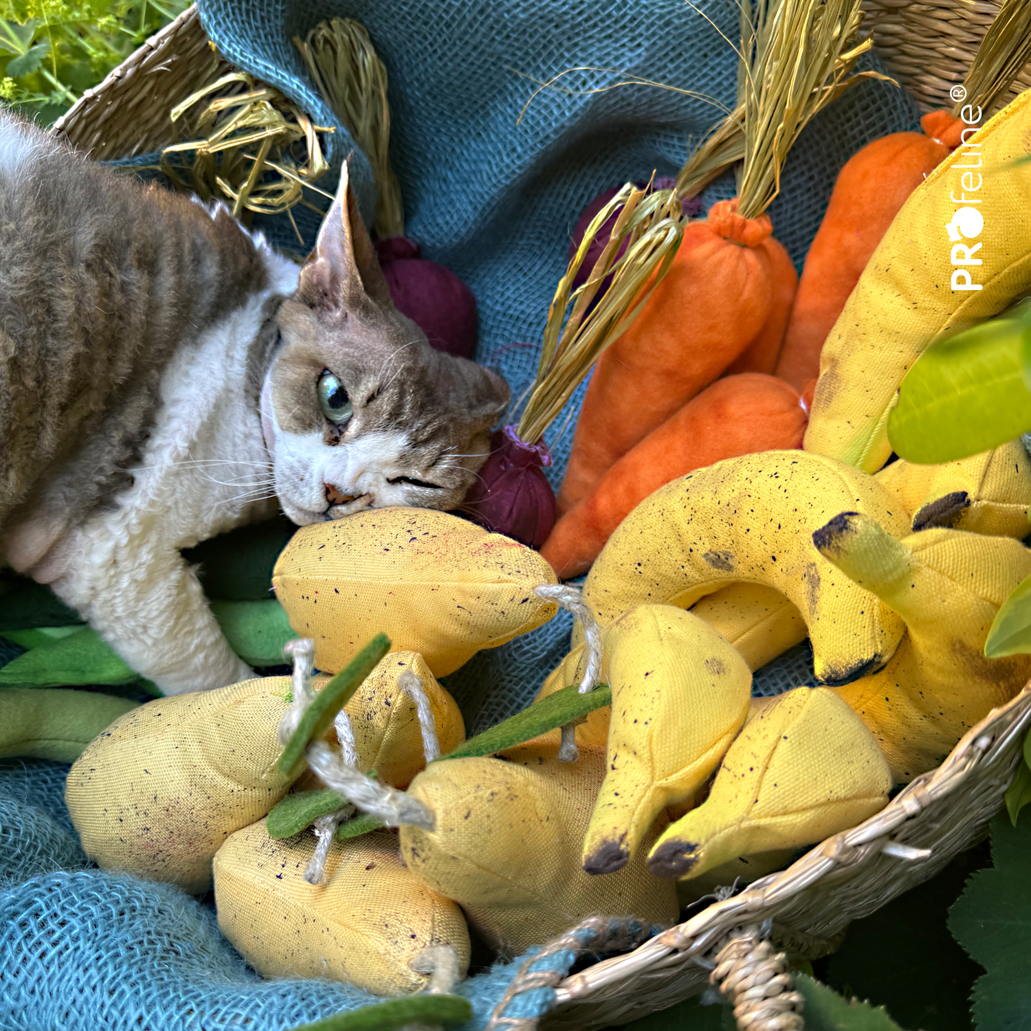 Dreamcat Katzenspielzeug mit Katzenminze