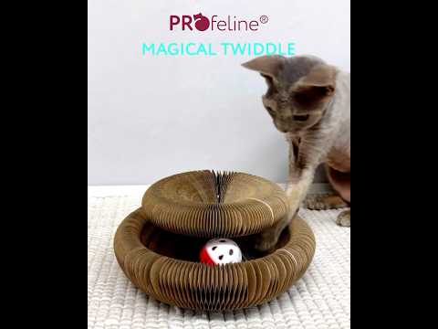 Magical Twiddle Toy